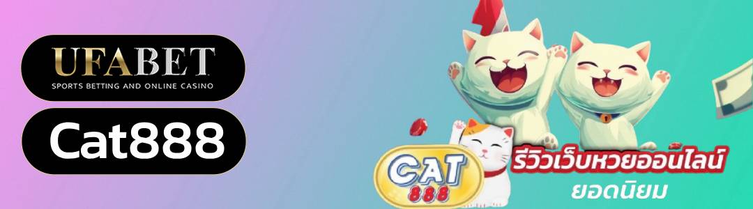 cat888 